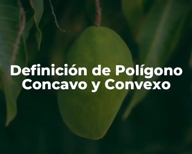 Definición de Polígono Concavo y Convexo