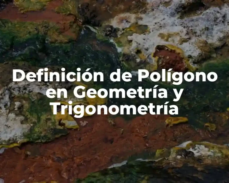 Definición de Polígono en Geometría y Trigonometría