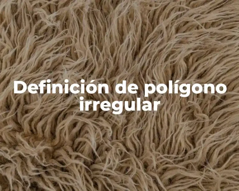 Definición de polígono irregular