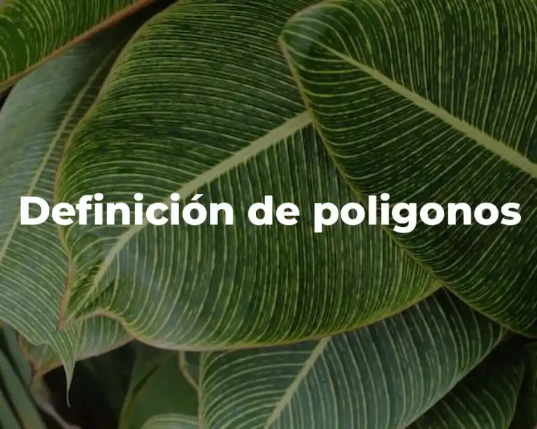 Definición de poligonos