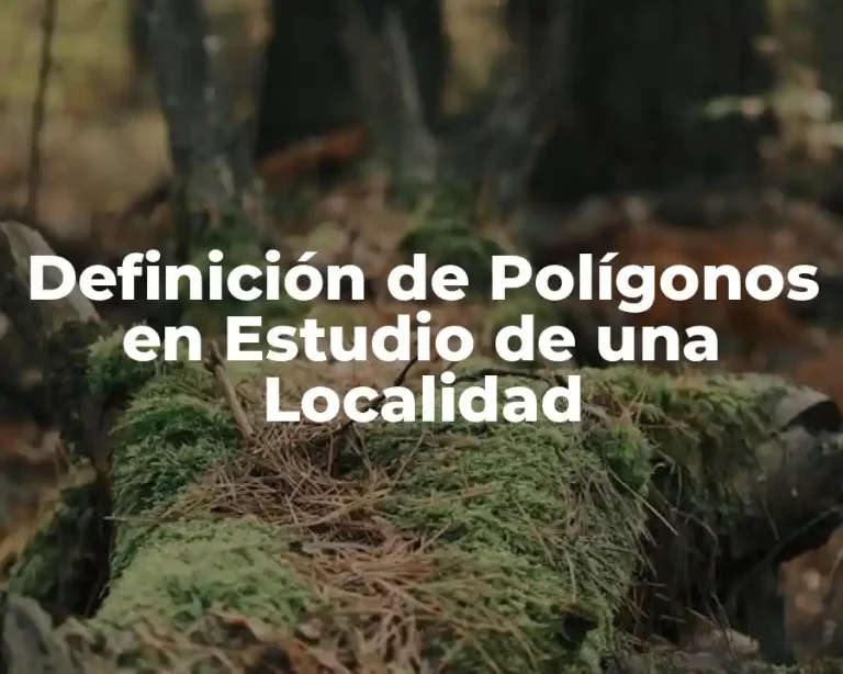 Definición de Polígonos en Estudio de una Localidad