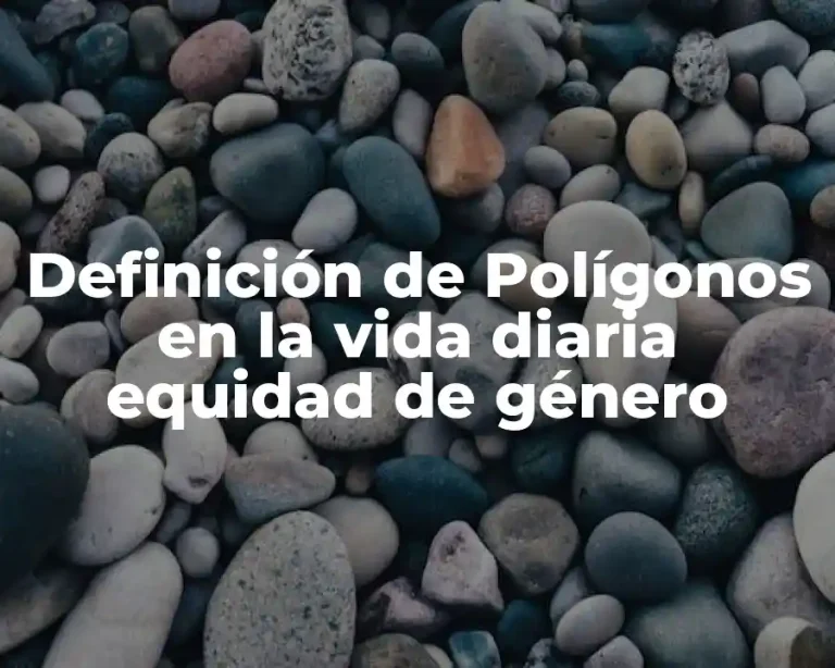 Definición de Polígonos en la vida diaria equidad de género