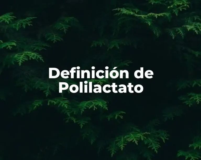 Definición de Polilactato