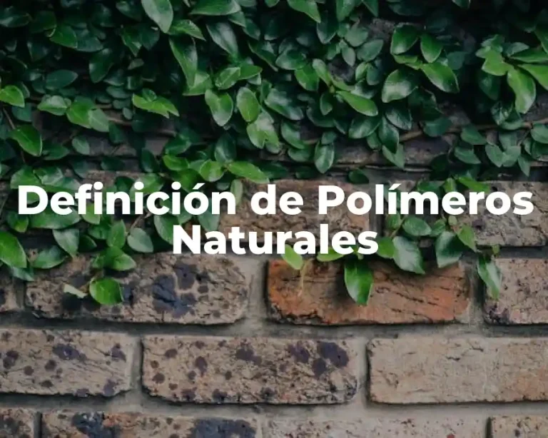Definición de Polímeros Naturales