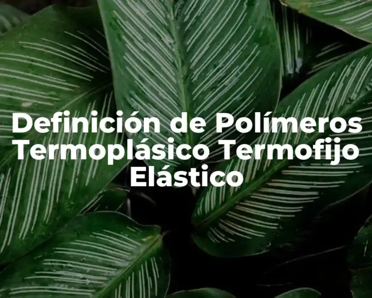 Definición de Polímeros Termoplásico Termofijo Elástico