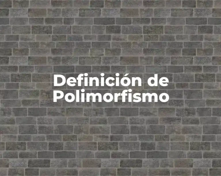 Definición de Polimorfismo