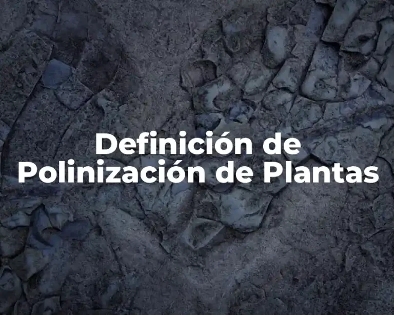 Definición de Polinización de Plantas
