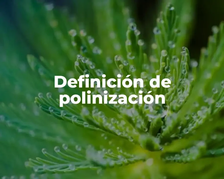 Definición de polinización