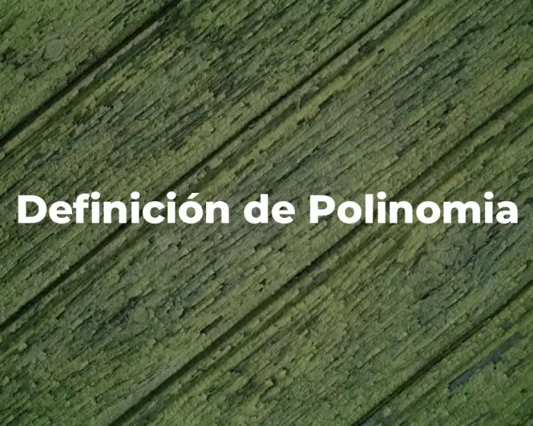 Definición de Polinomia