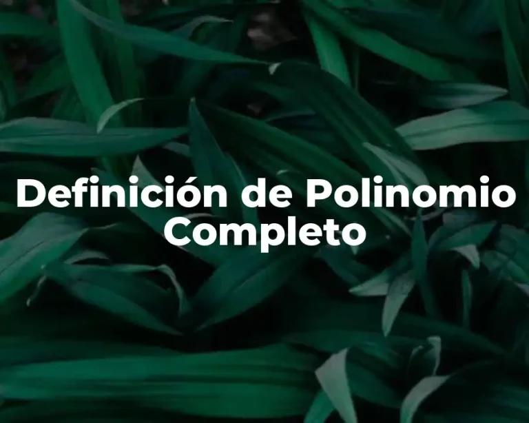 Definición de Polinomio Completo