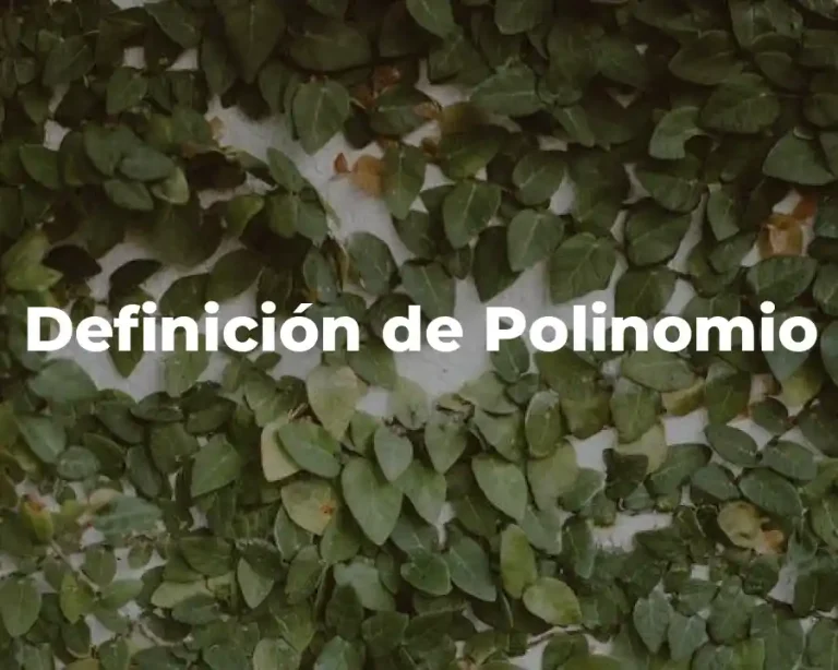 Definición de Polinomio