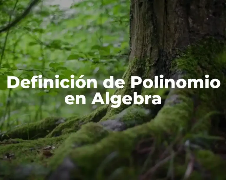 Definición de Polinomio en Algebra