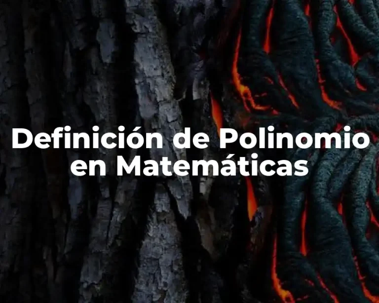 Definición de Polinomio en Matemáticas