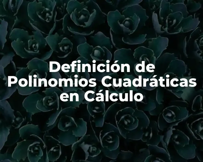 Definición de Polinomios Cuadráticas en Cálculo
