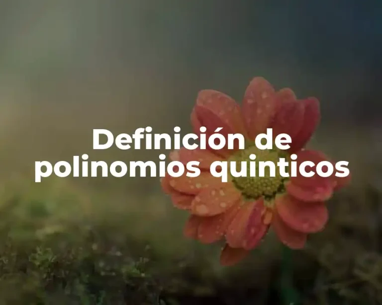 Definición de polinomios quinticos
