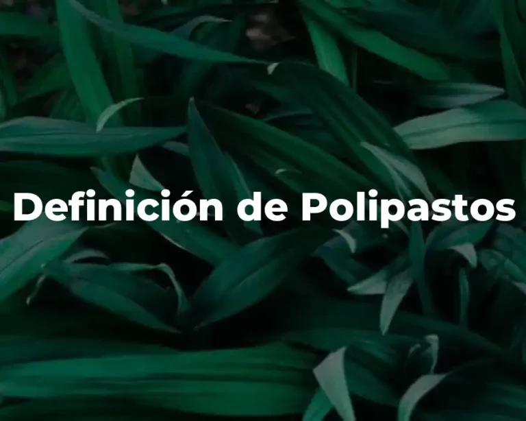 Definición de Polipastos
