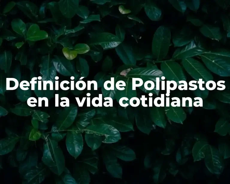 Definición de Polipastos en la vida cotidiana