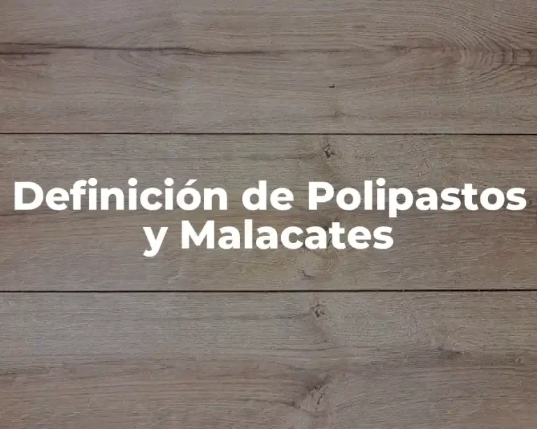 Definición de Polipastos y Malacates