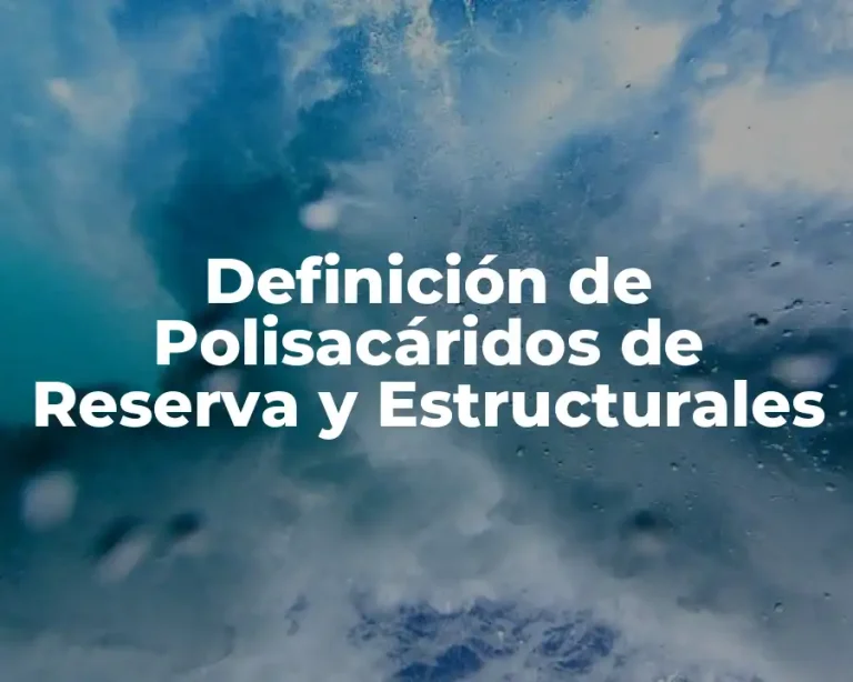 Definición de Polisacáridos de Reserva y Estructurales