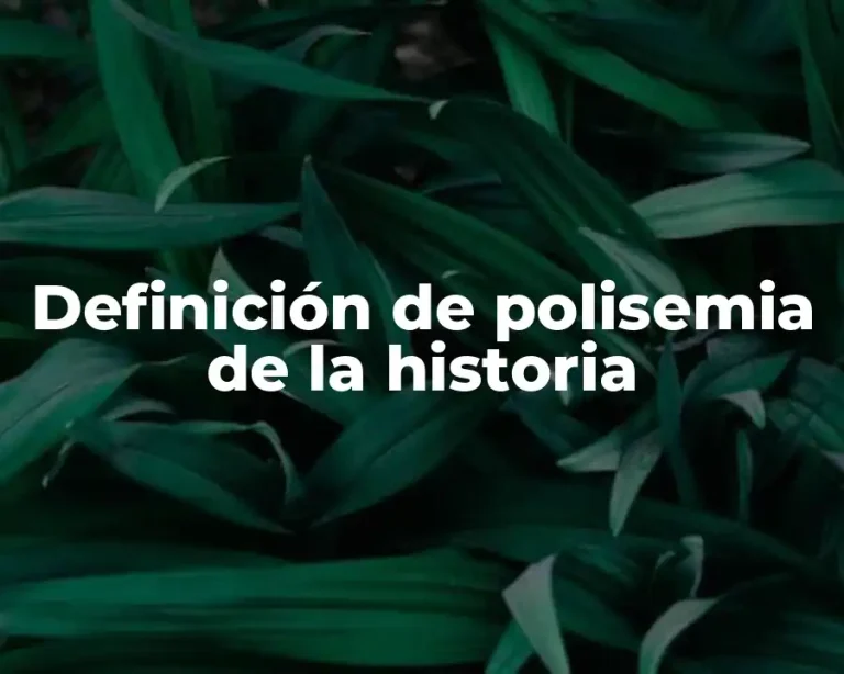 Definición de polisemia de la historia