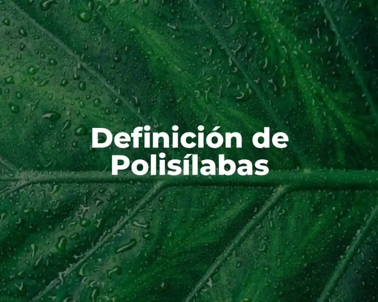 Definición de Polisílabas