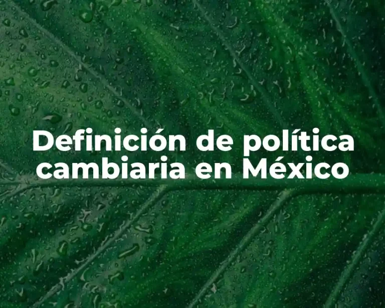 Definición de política cambiaria en México