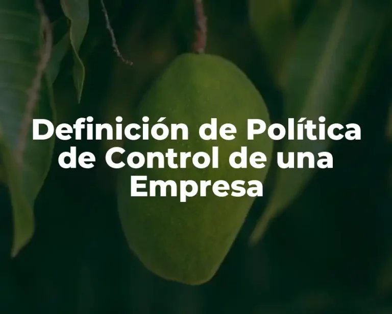 Definición de Política de Control de una Empresa