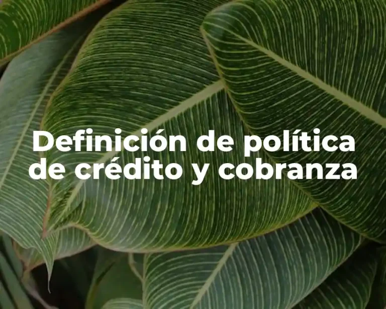 Definición de política de crédito y cobranza