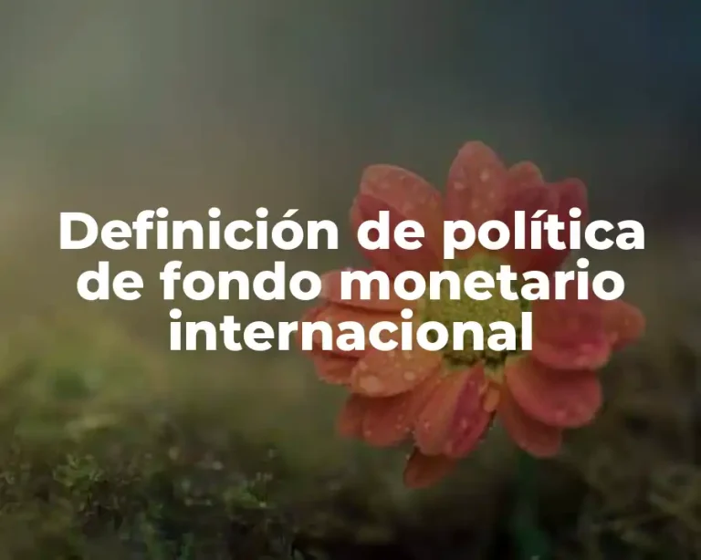 Definición de política de fondo monetario internacional