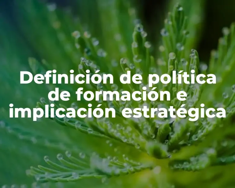 Definición de política de formación e implicación estratégica