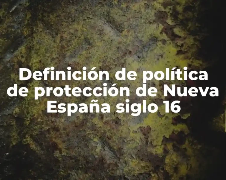 Definición de política de protección de Nueva España siglo 16