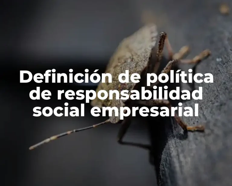Definición de política de responsabilidad social empresarial