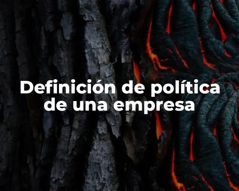 Definición de política de una empresa