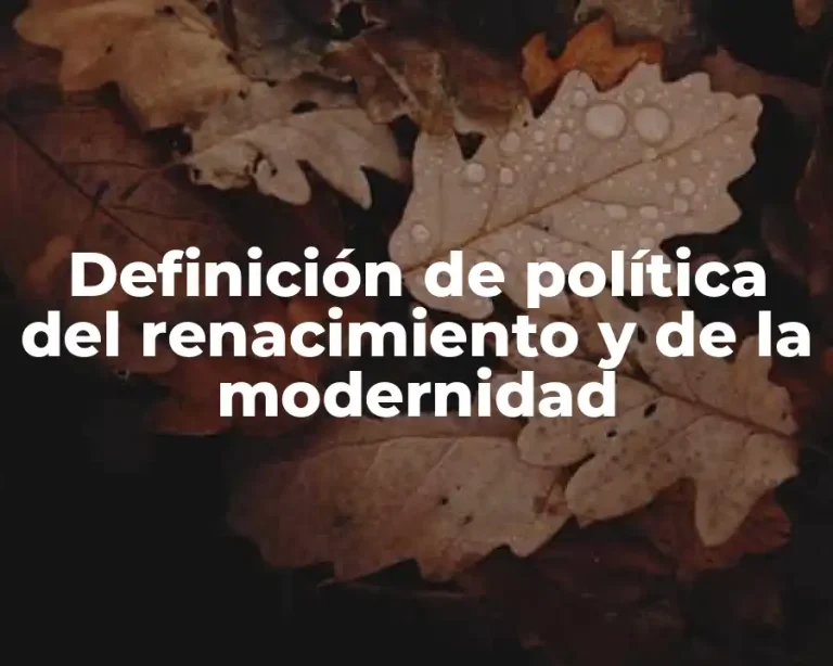 Definición de política del renacimiento y de la modernidad