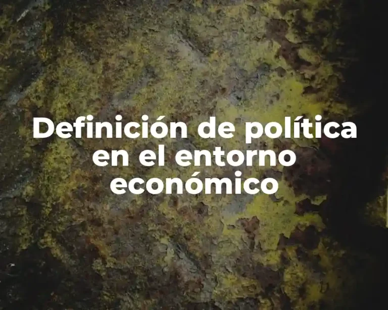 Definición de política en el entorno económico
