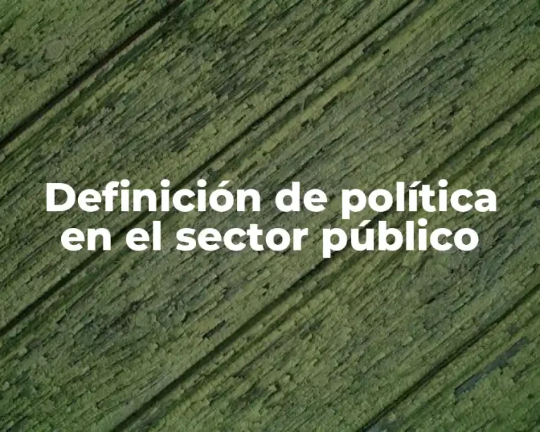 Definición de política en el sector público