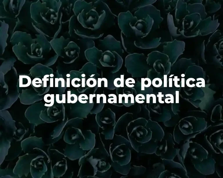 Definición de política gubernamental