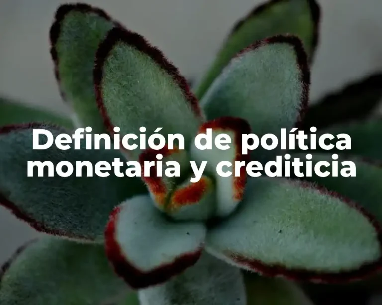 Definición de política monetaria y crediticia