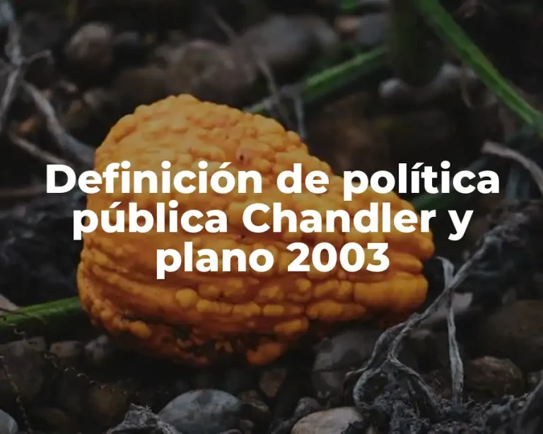 Definición de política pública Chandler y plano 2003