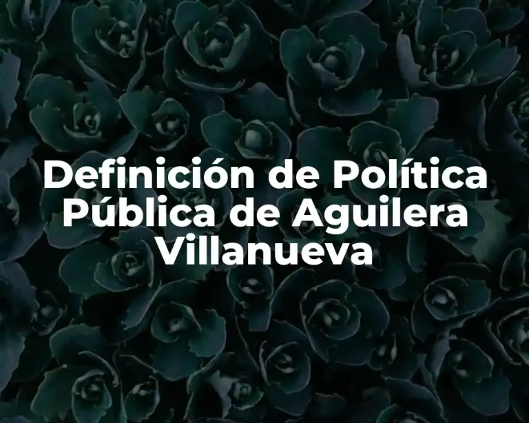 Definición de Política Pública de Aguilera Villanueva