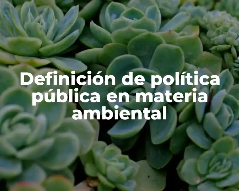 Definición de política pública en materia ambiental