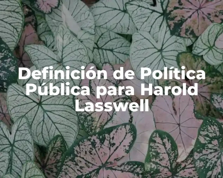 Definición de Política Pública para Harold Lasswell