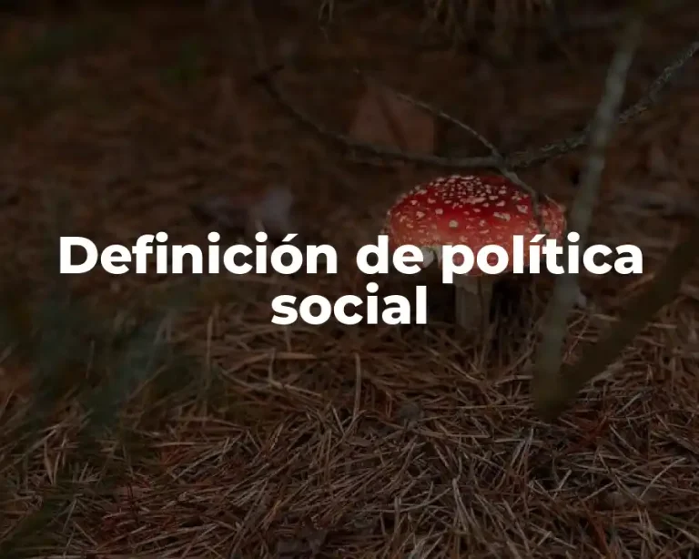 Definición de política social