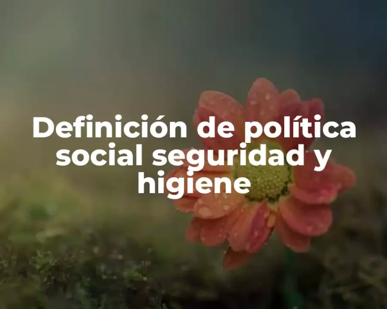 Definición de política social seguridad y higiene