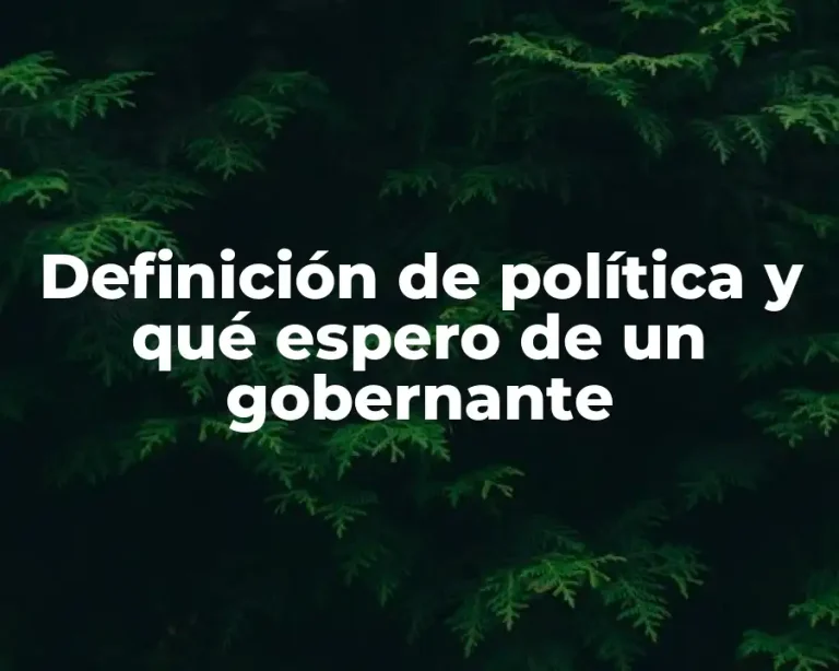 Definición de política y qué espero de un gobernante