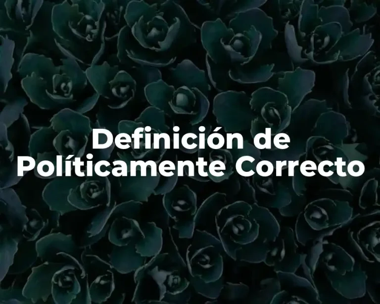 Definición de Políticamente Correcto