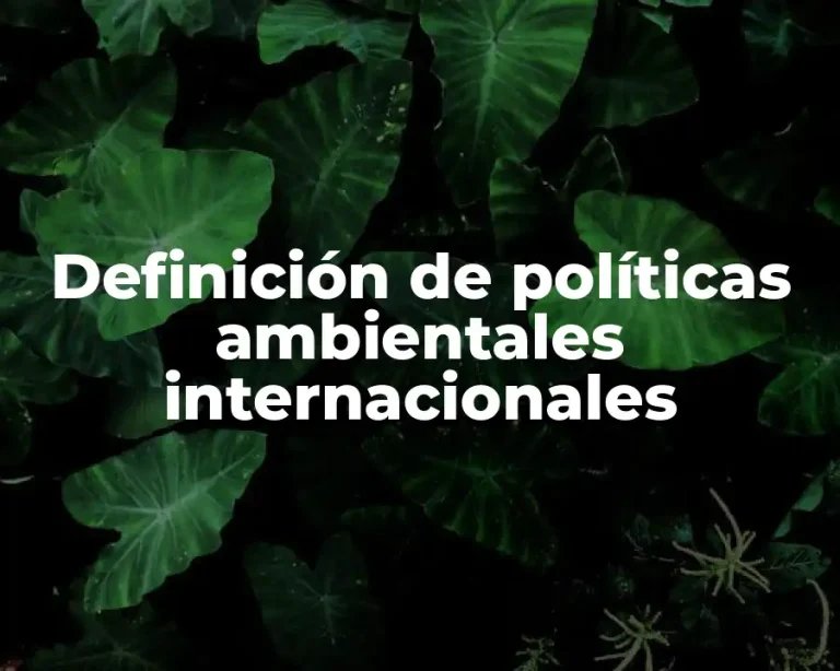 Definición de políticas ambientales internacionales