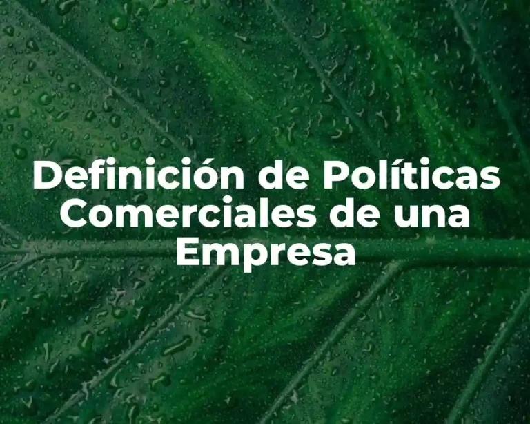 Definición de Políticas Comerciales de una Empresa