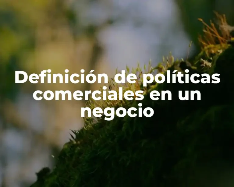 Definición de políticas comerciales en un negocio