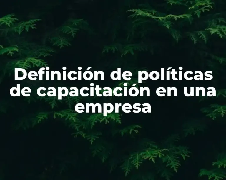 Definición de políticas de capacitación en una empresa